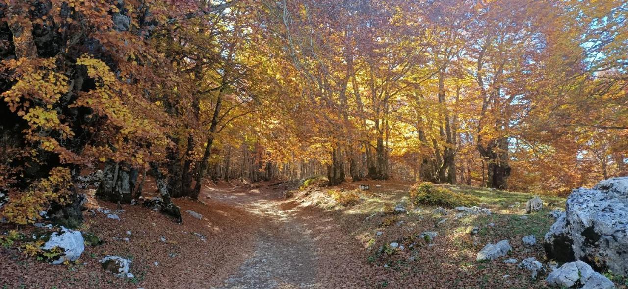 La Pigna Sbarazzina Apartment Rocca di Cambio Bagian luar foto